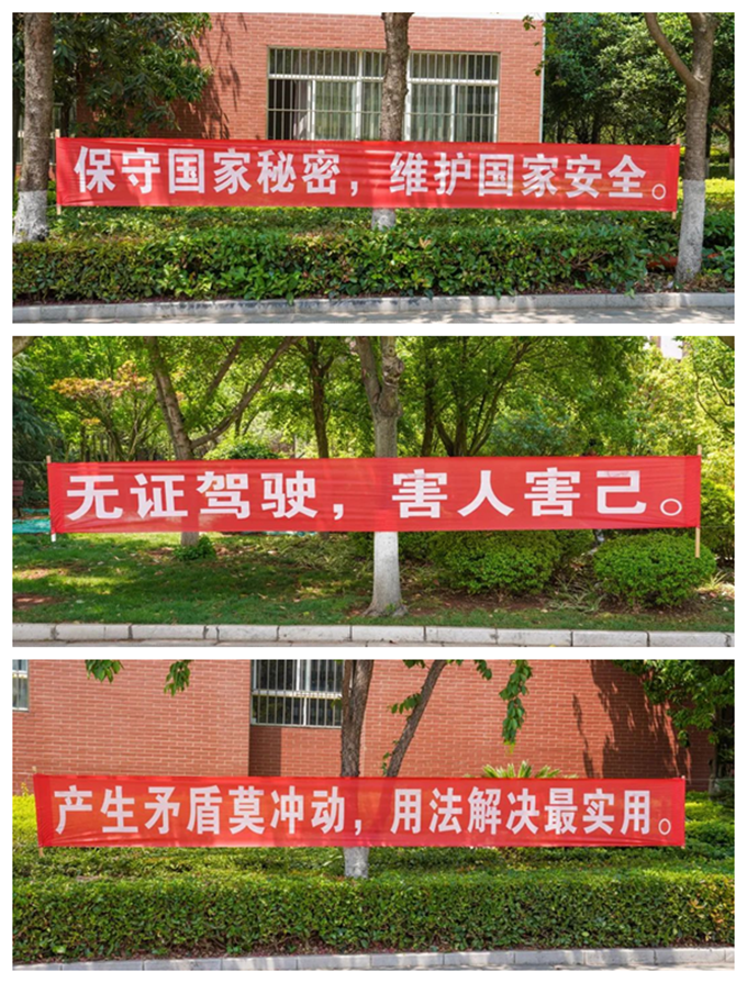 图片25_副本_副本.png