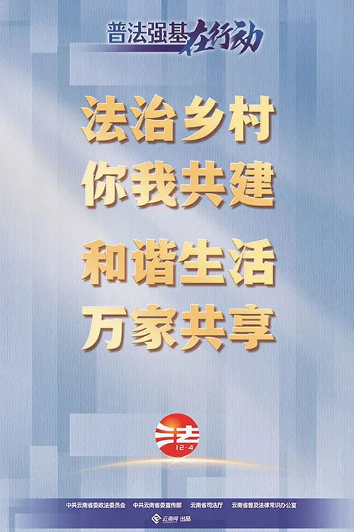 转发学习！“普法强基”宣传海报来了 第 21 张